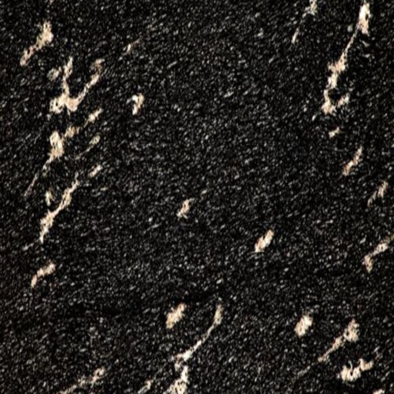 Fish Black Granite