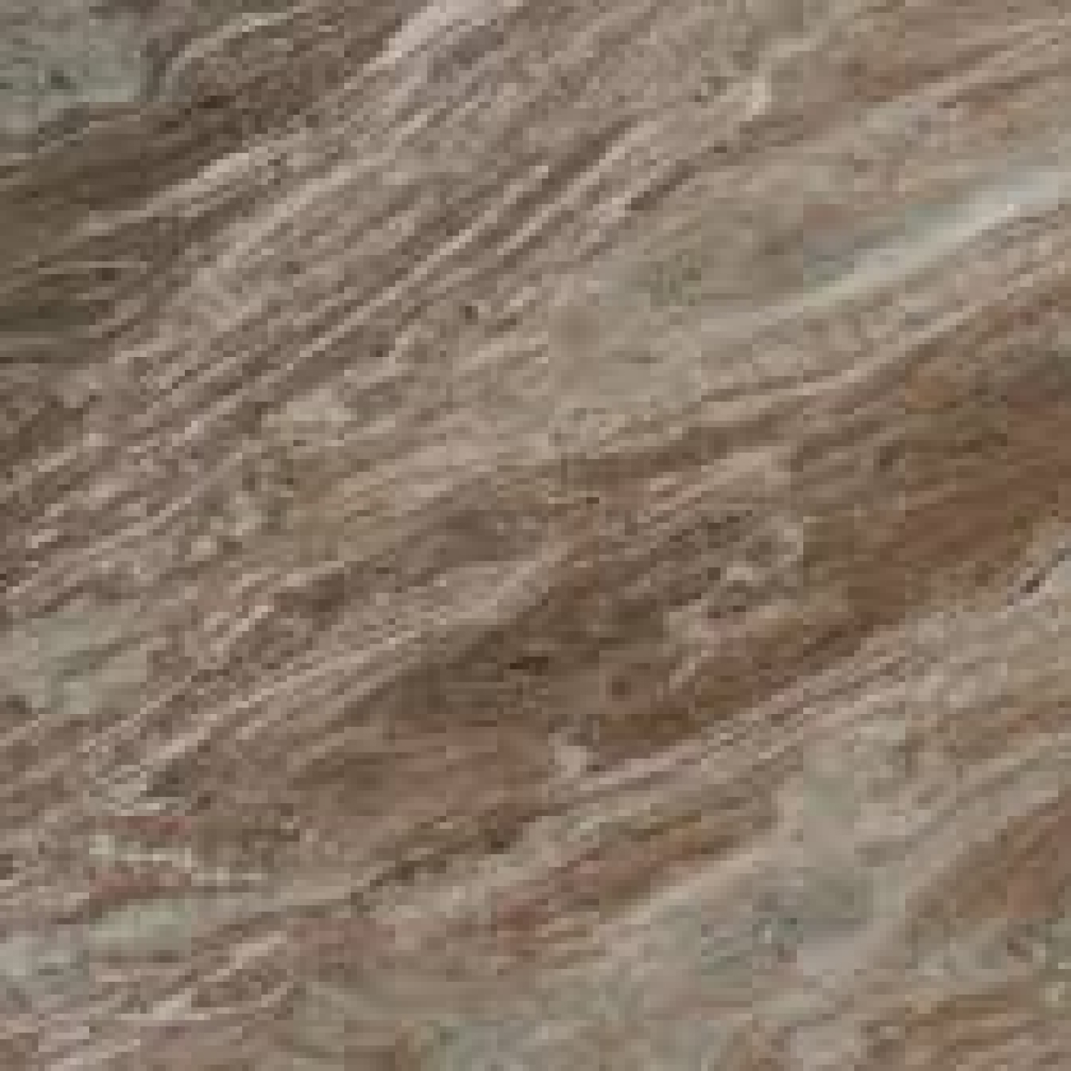 Fantasy Brown Marble